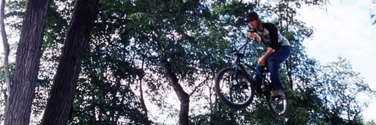 michael cottle banner