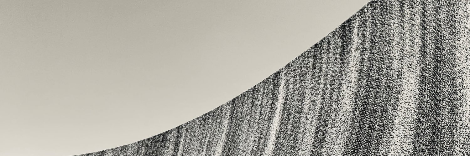 lizorzo's profile banner image