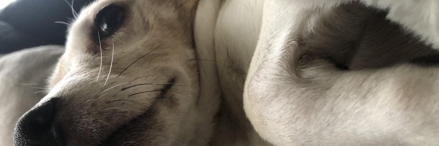 LesVorst's profile banner image