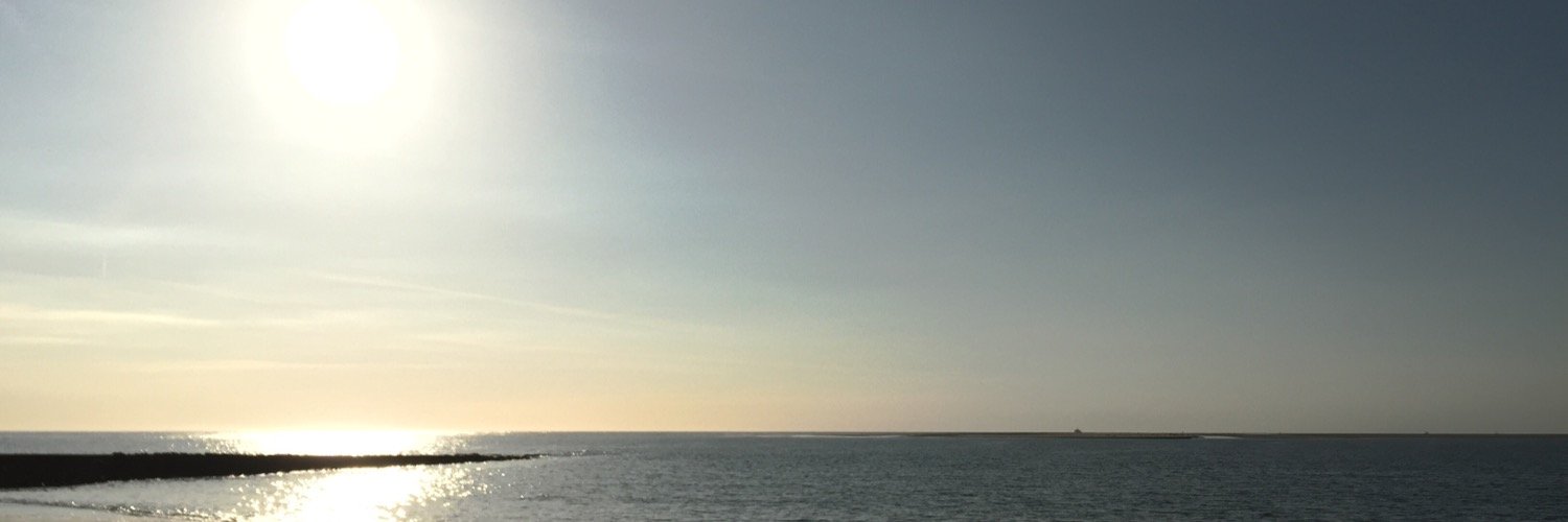 Jan Weber banner
