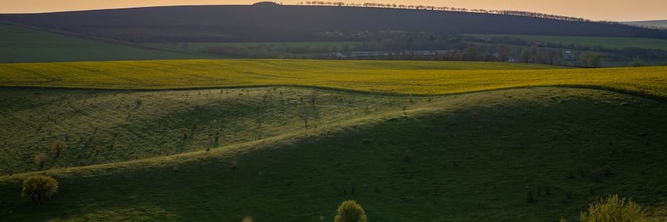 Matthew Woods banner