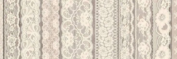 🐾 banner