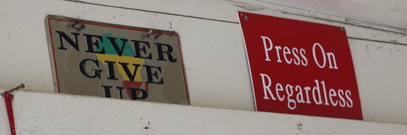 RaeChell Garrett banner