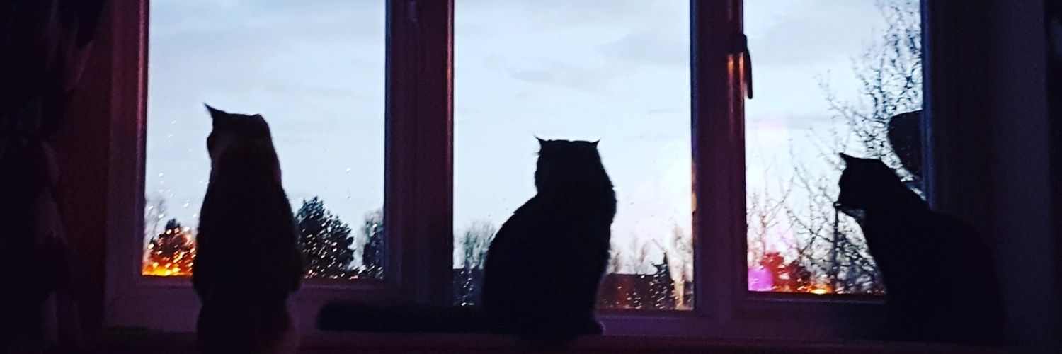 Emilybumble's profile banner image