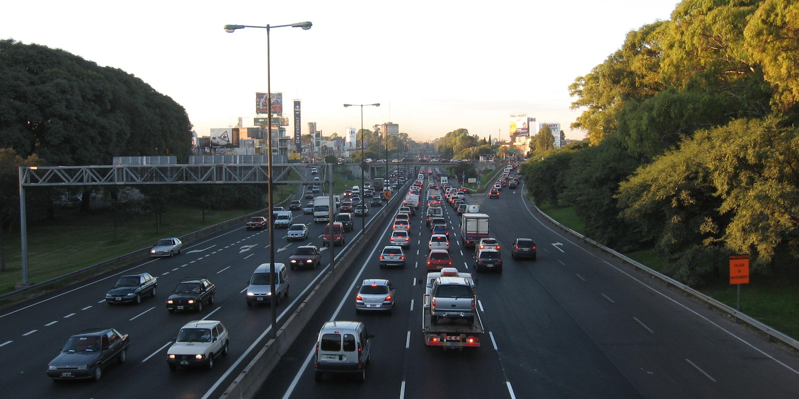 Rosana Pagani banner