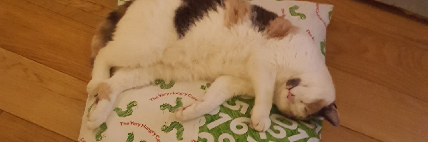 gailis's profile banner image