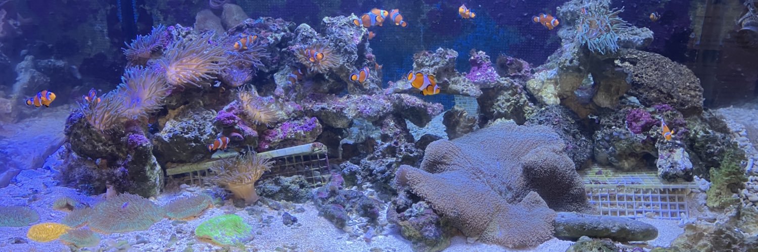 羊宮ウル@ﾎﾞｲｽ公開ﾁｬﾚﾝｼﾞ中 banner