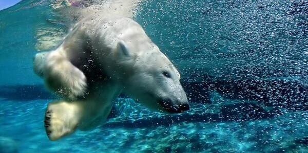 WorldNatGeo's profile banner image