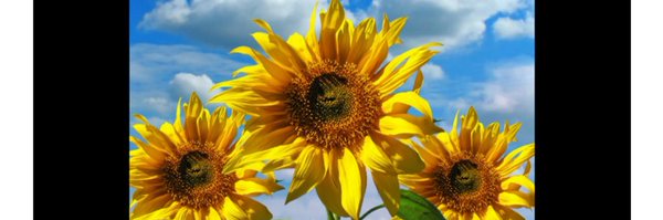 BBuda2 Profile Banner