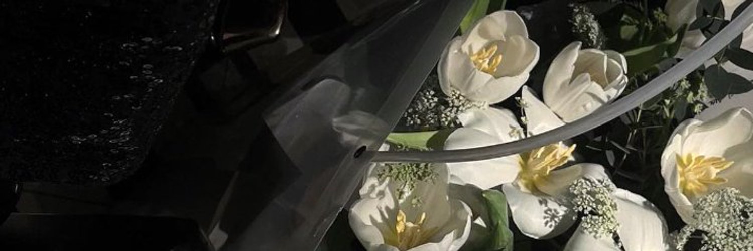珍妮玛戴劲 banner