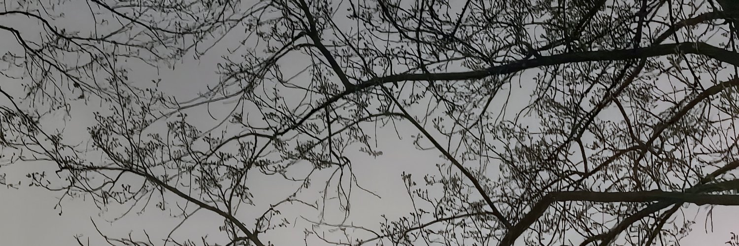 trashmaker33507's profile banner image
