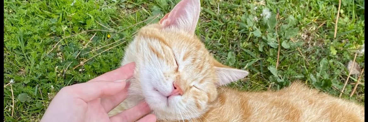 الآنسة شذى banner