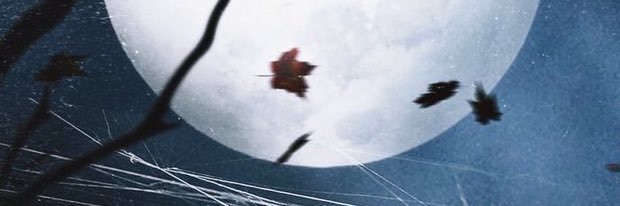 6ixDon's profile banner image