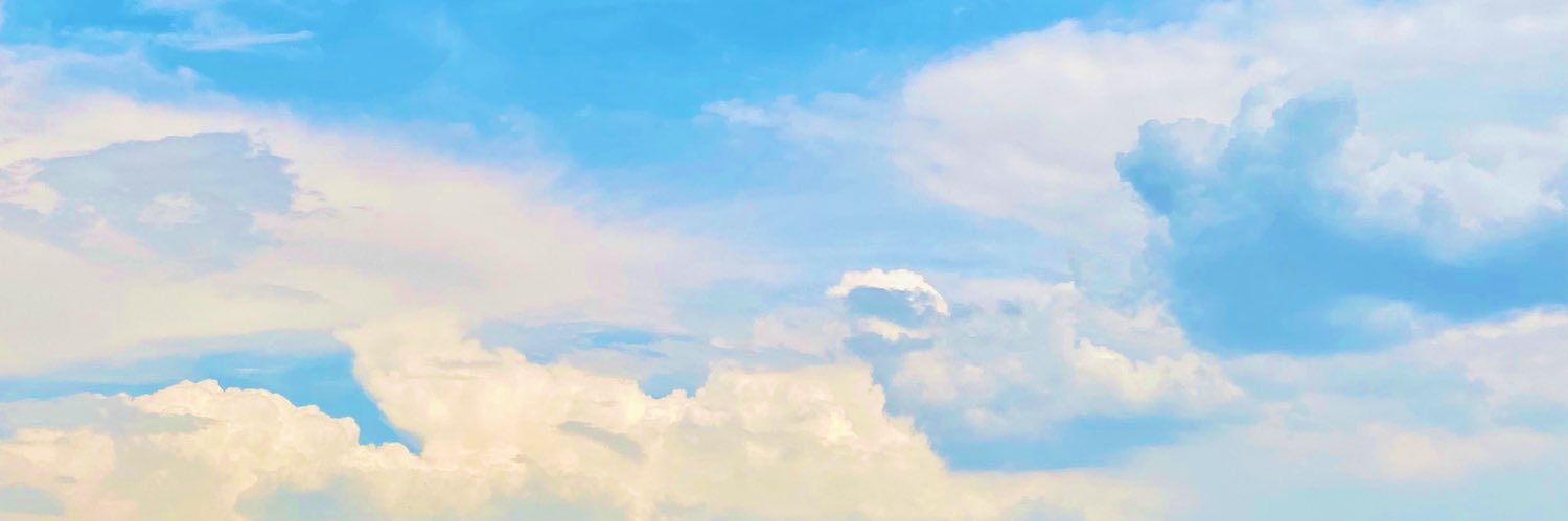 gorevinsani's profile banner image