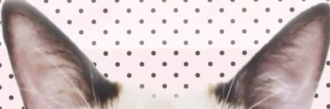 Itbeguntosnow's profile banner image