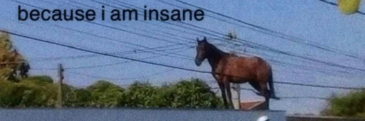 connor storrie egot banner