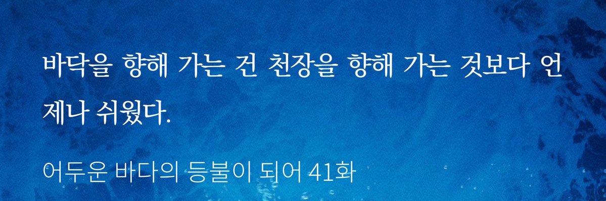연송🦦(시험이라욕트많음) banner