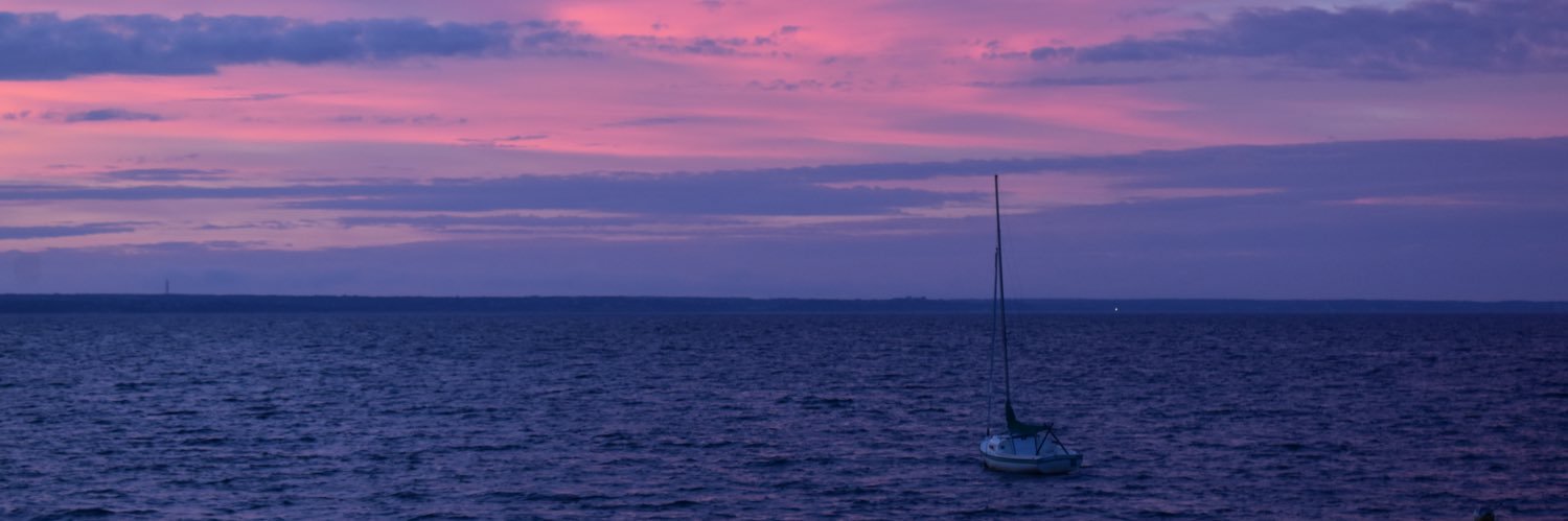 nylilly's profile banner image