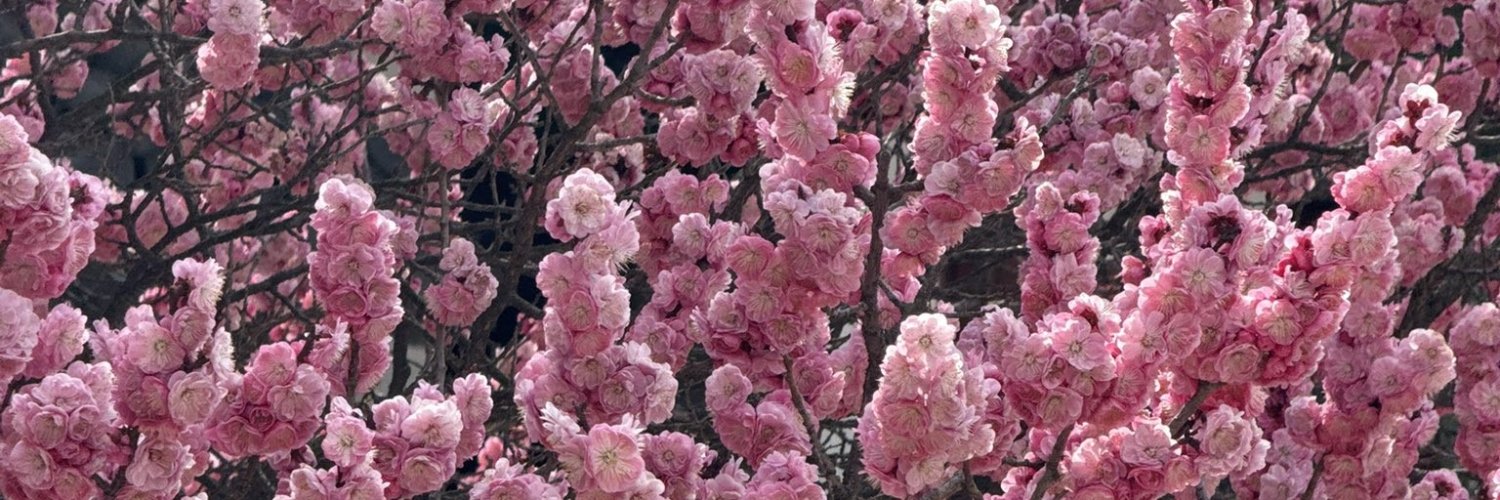 yourlady_0's profile banner image