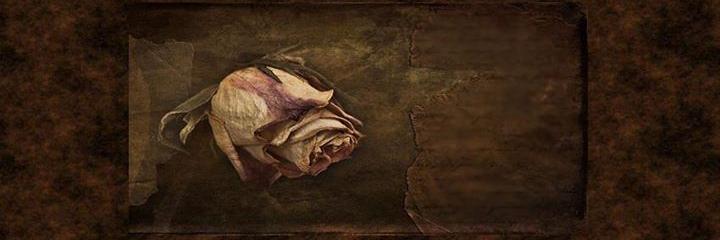 Pamie Forte banner
