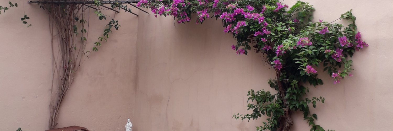 barriosgrisel's profile banner image