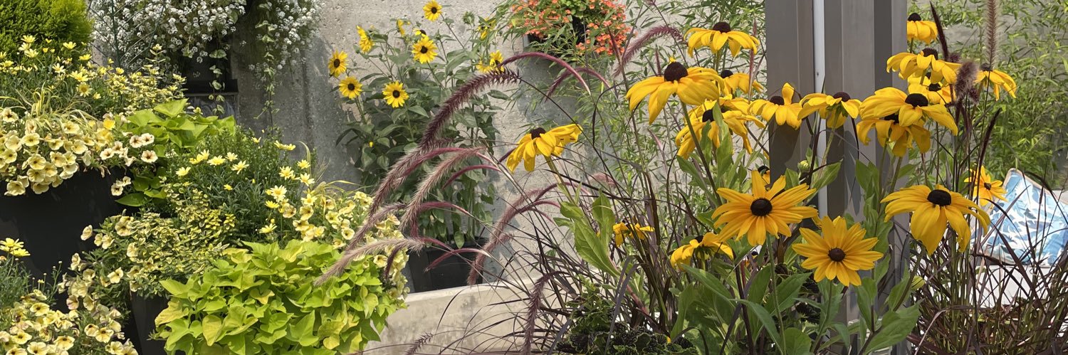 Michele Evans banner