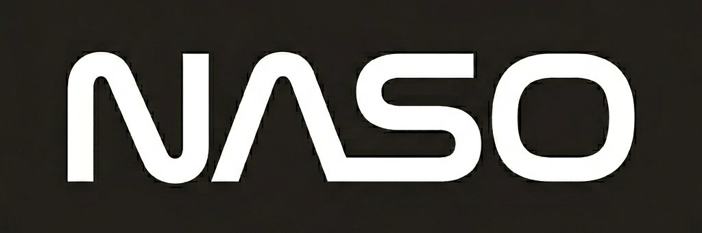 NASO_DIRECTOR's profile banner image