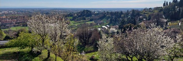 ricc1981 Profile Banner