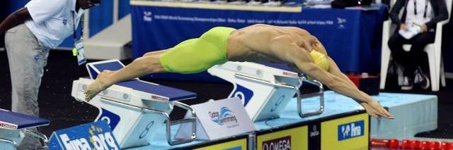 hammerheadswim's profile banner image