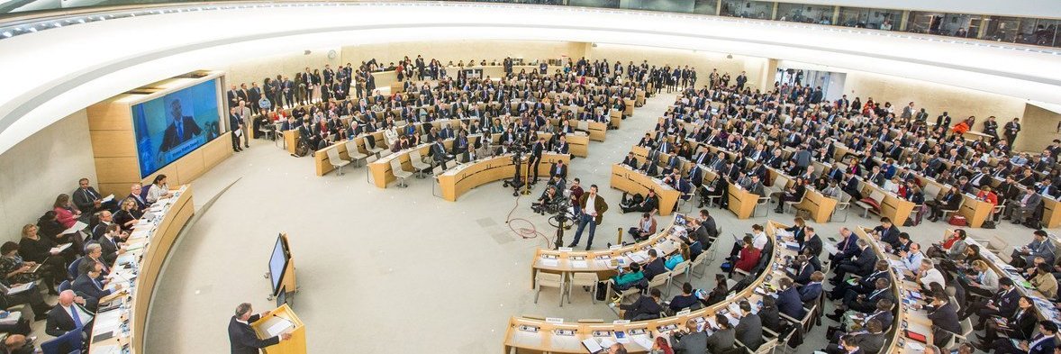 Práctica Internacional de Derechos Humanos banner
