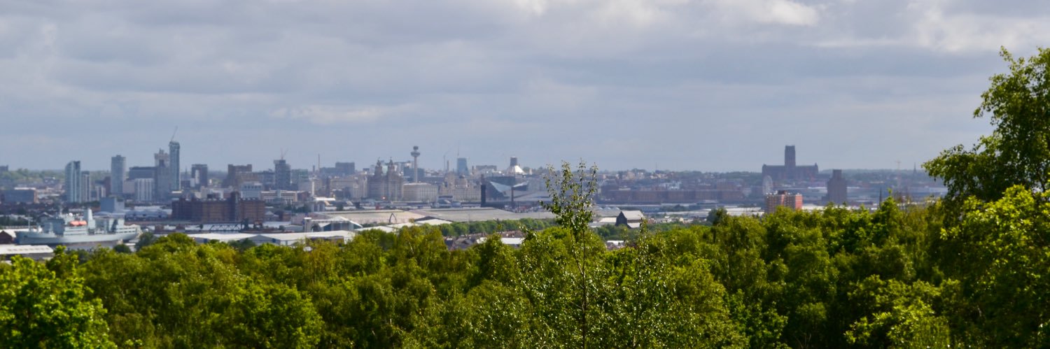 Lisland2's profile banner image