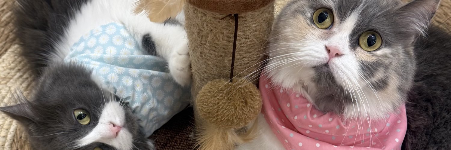 shoruqalh's profile banner image