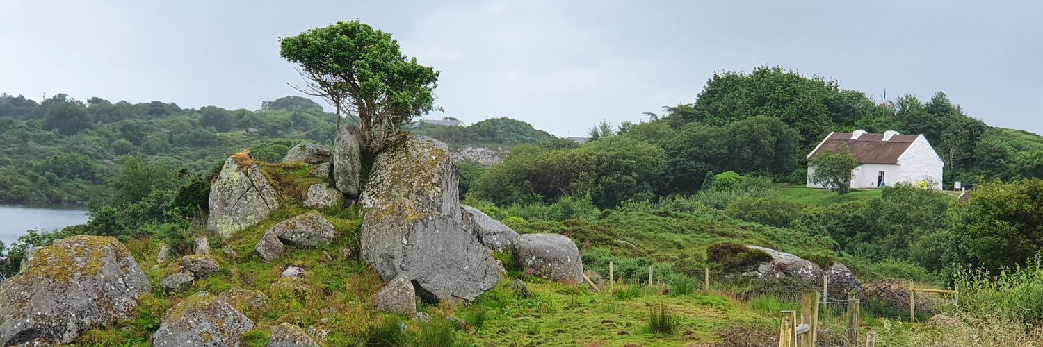 Máirtín Mac banner