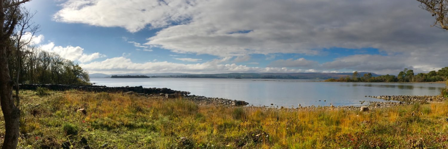 Brandon Owens banner