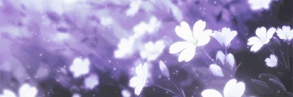 . ݁₊ ⊹ .(˶˃⤙˂˶) .ᐟ banner