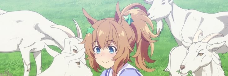 ᴛᴀɪᴋɪ ꜱʜᴜᴛᴛʟᴇ banner