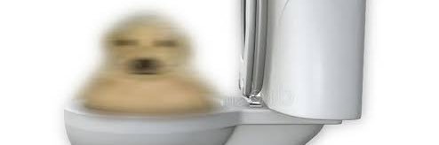 ᵗᵗᵉᵒᵍⁱ banner