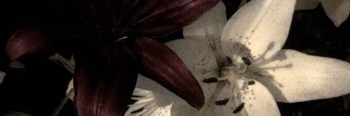 heartbreakarch's profile banner image