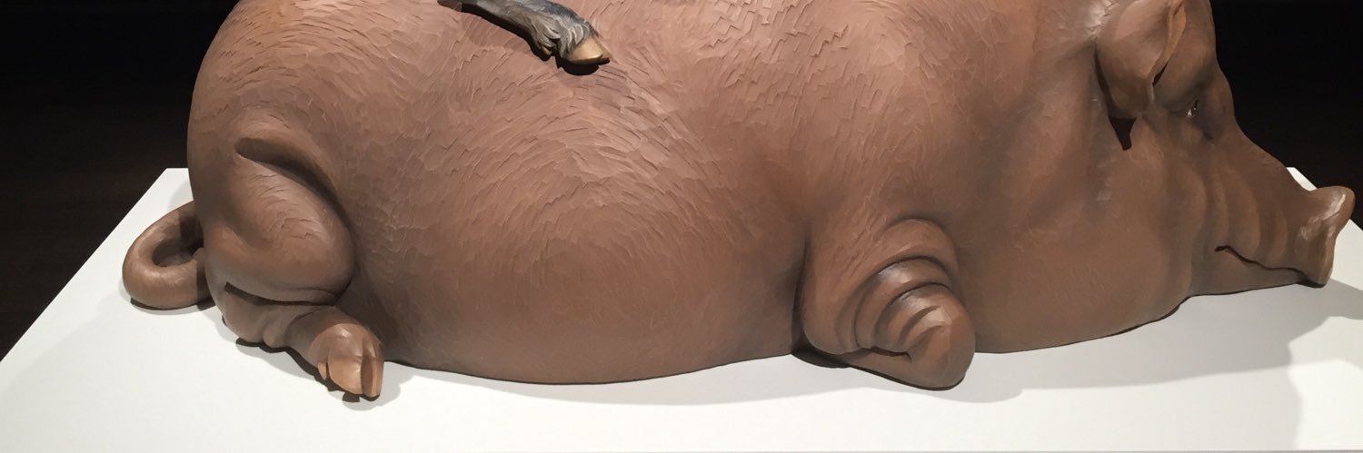 Camille Housemans 🚴‍♂️ banner