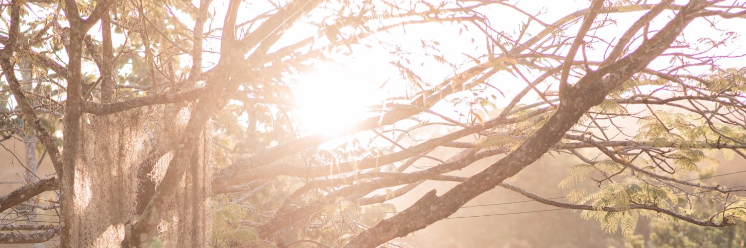 dudarodrigs00's profile banner image