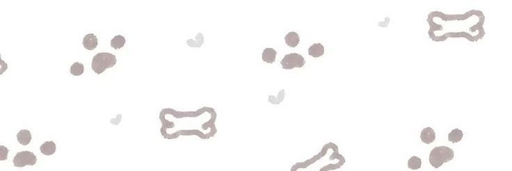 🍭 banner