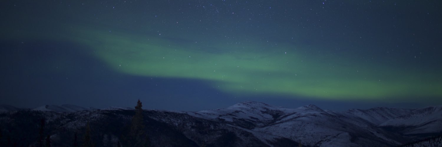 Kathryn Barrows banner