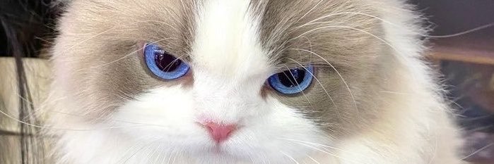 MMcxuv's profile banner image