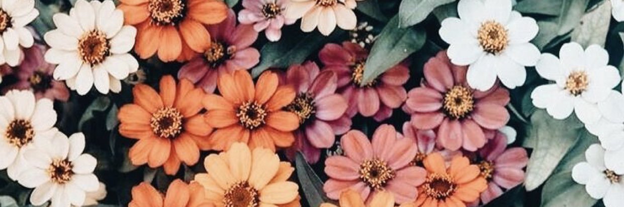 aalicebarkerr's profile banner image