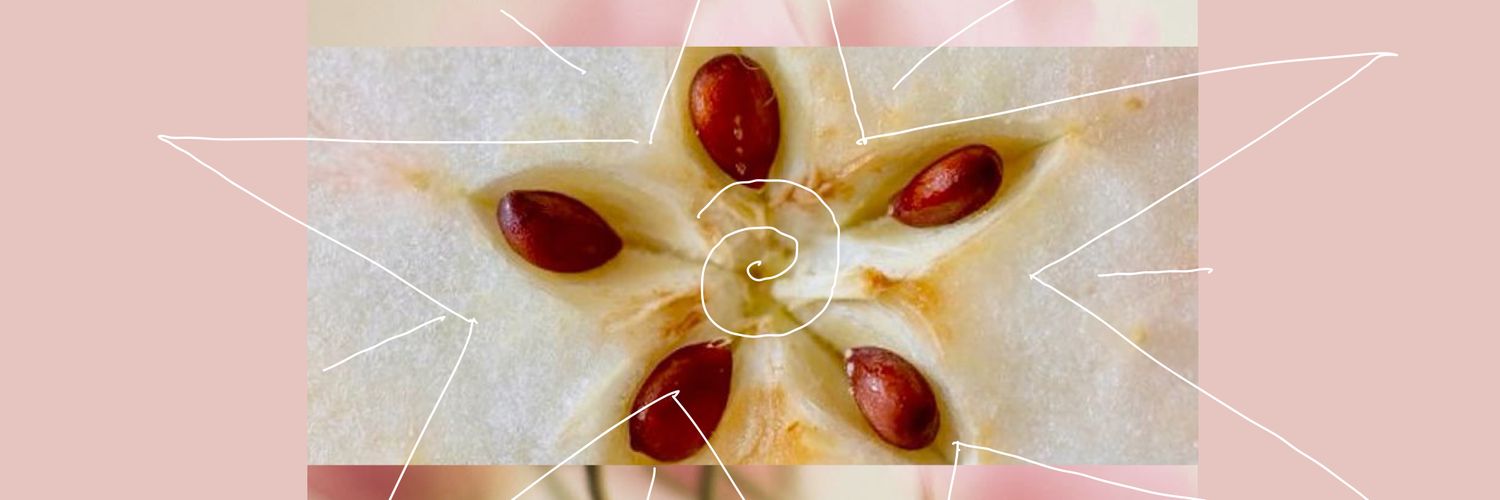 ˗ˏˋ ꒰ ⋆｡°✩ ꒱ ˎˊ˗ banner