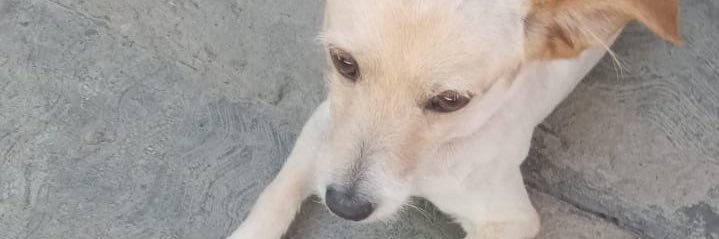 martinezceduard's profile banner image