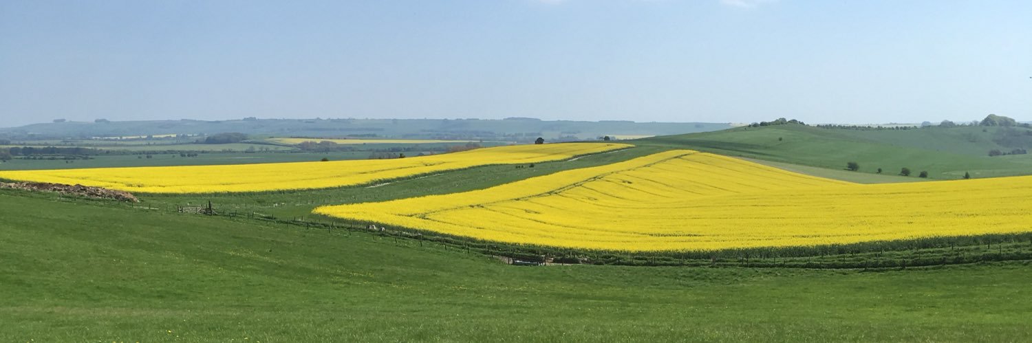 RobinCollyer's profile banner image