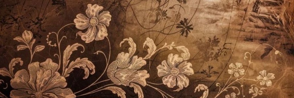 .⋆♱⃓ vic banner