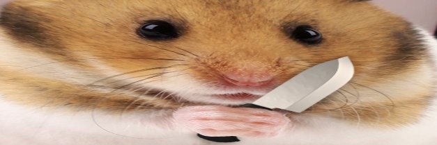 脳みそ先週捨てた‼️ banner