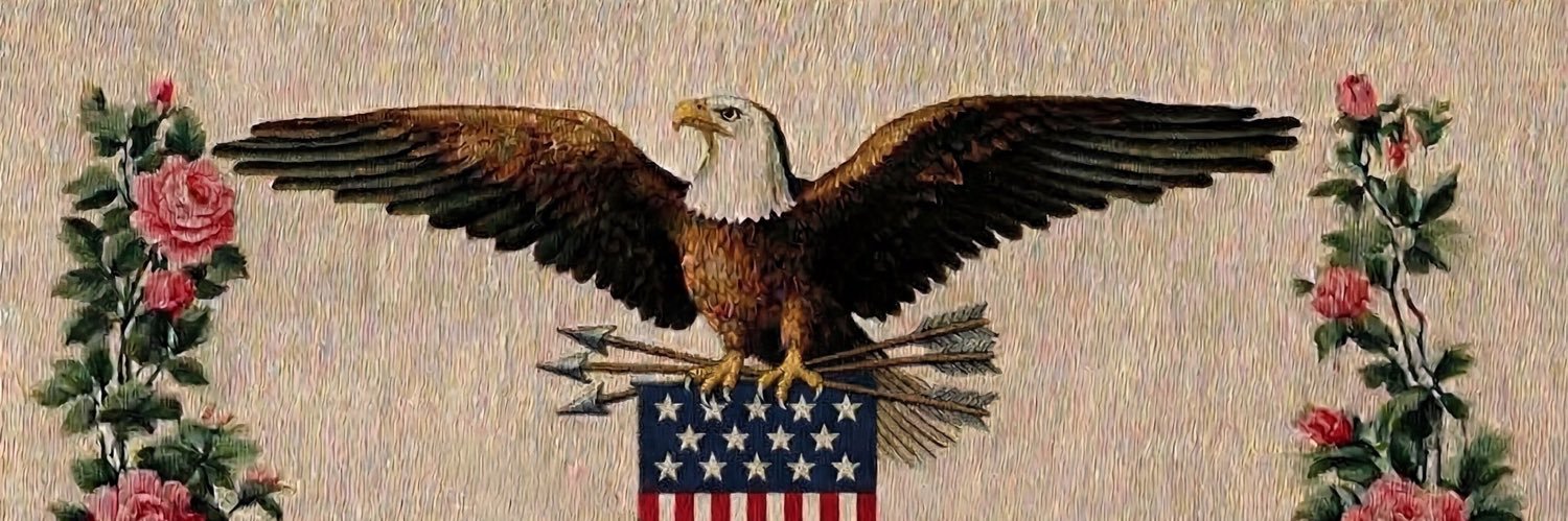 Average Patriot banner